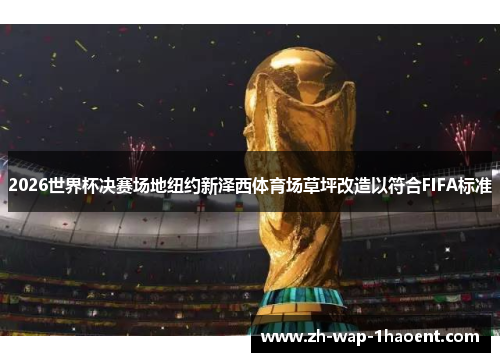 2026世界杯决赛场地纽约新泽西体育场草坪改造以符合FIFA标准